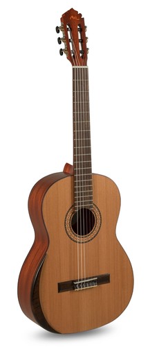 Manuel rodriguez tradicion t65 - manuel,