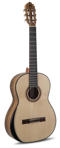 Manuel rodriguez tesoro - manuel,