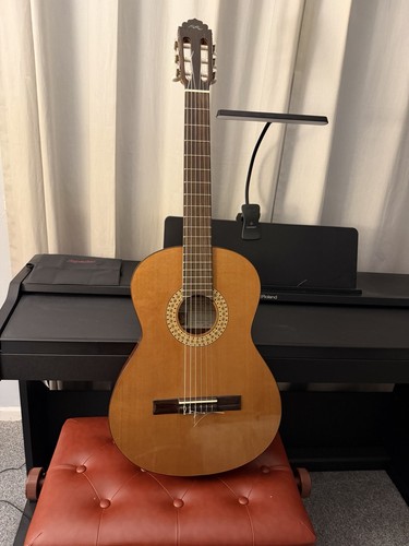Manuel rodriguez caballero - manuel,