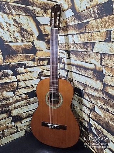 Manuel rodriguez mod - mod.c1, with